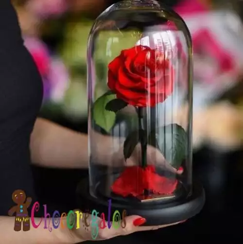 Rosa preservada roja, regalo con rosas
